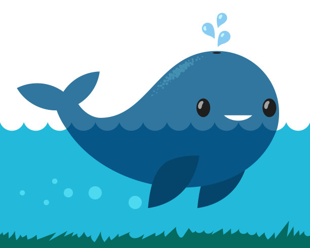 蓝鲸漂浮在海洋海洋哺乳动物图片下载
