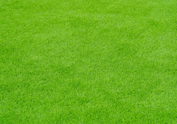 完美的绿色草坪作为背景图片下载