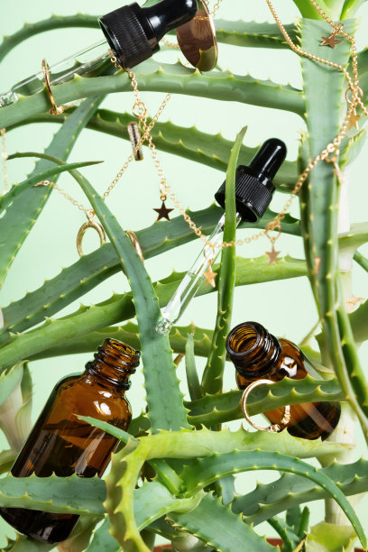 概念是天然化妆品。含芦荟提取物的血清。植物与黄金首饰和血清图片下载