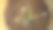 经许可的医用大麻CBD油。背景:小玻璃瓶和注射器，仅供口腔使用。在木桌上种植生物种子和大麻。图片下载