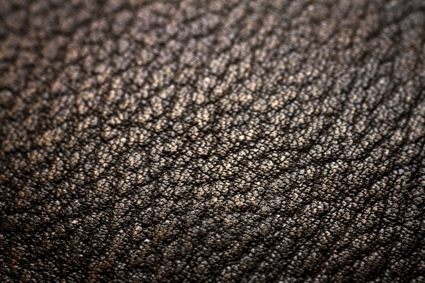 一个皮革的极端特写图片下载