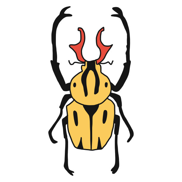 矢量插图手绘花园地面甲虫。平面设计。昆虫孤立在白色背景上。适合儿童书籍、明信片、面料、教育网站或应用。图片下载