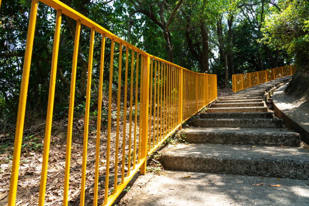 森林山上的石阶图片下载