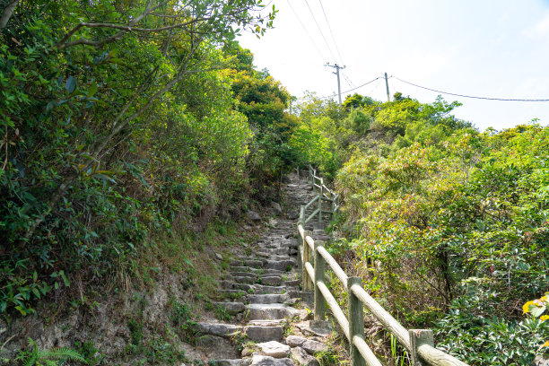 森林山上的石阶图片下载