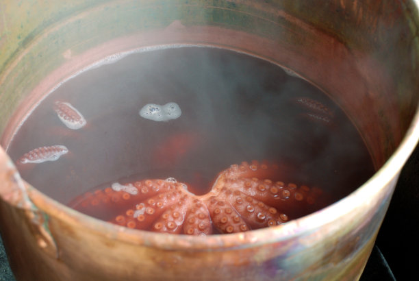 加利西亚风味烹饪章鱼图片下载