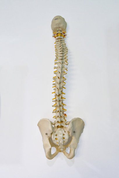 病人护理的医疗中心图片下载