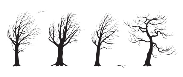 随风摇曳的无叶老树的剪影图片下载