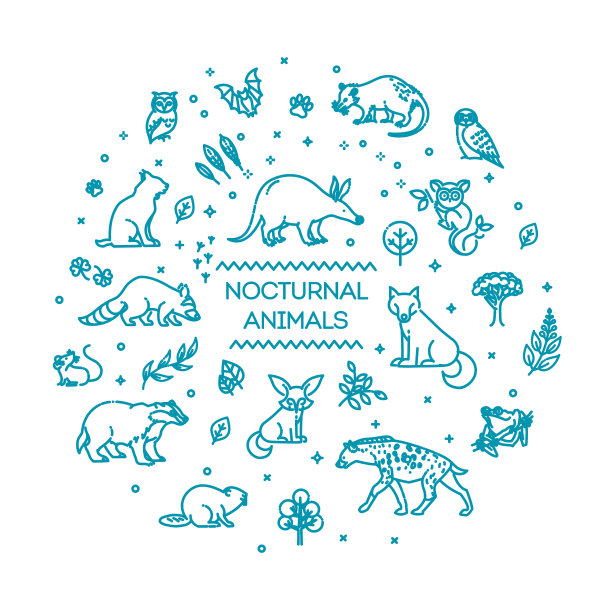 设置线形夜行动物图片下载