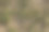 草枯，夏旱，无水，燥图片下载