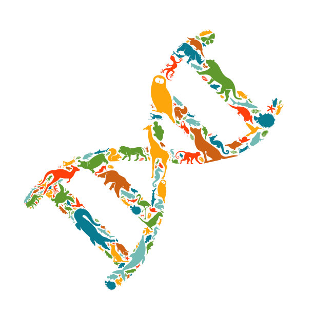 丰富多彩的野生动物图标DNA科学概念图片下载