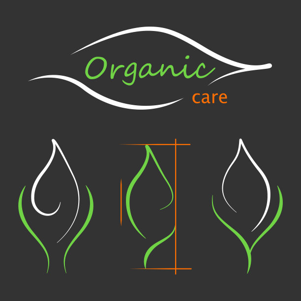 轮廓绿色叶片标志设置有机植物图片下载