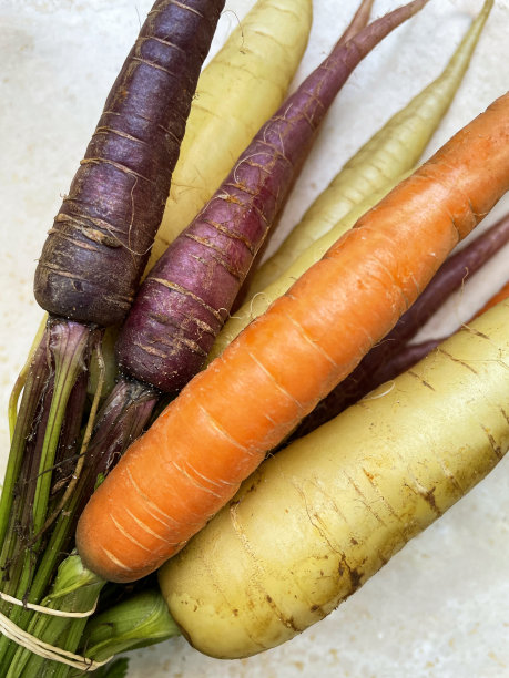 新鲜农产品市场的特写图像与一束紫色，白色和橙色的传统胡萝卜，高视阔步图片下载