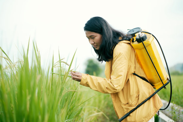 年轻女性农民在稻田里喷洒杀虫剂图片下载