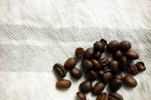 明亮的背景上放着咖啡豆图片下载