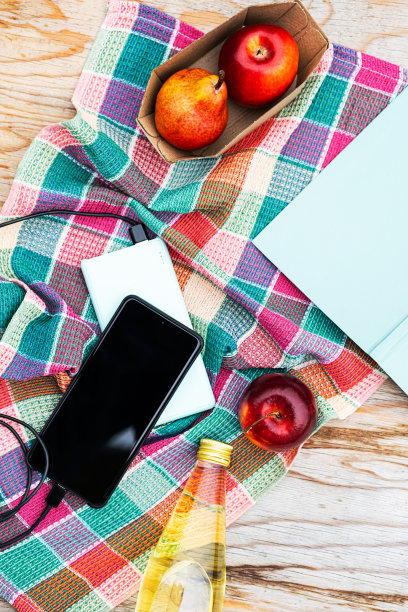 暑假，智能手机充电电源，书籍，水果和饮料。在阳光明媚的日子里，在大自然中惬意的野餐。副本的空间。图片下载