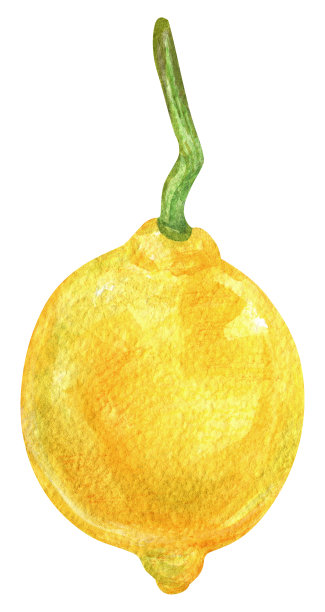 孤立的水彩元素。带叶子的柠檬水果。柑橘类。印刷用于包装设计、织物。图片下载