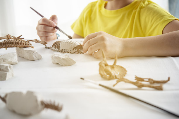 幼儿扮演古生物学家，发现概念图片下载