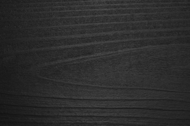 美丽的树林图片下载