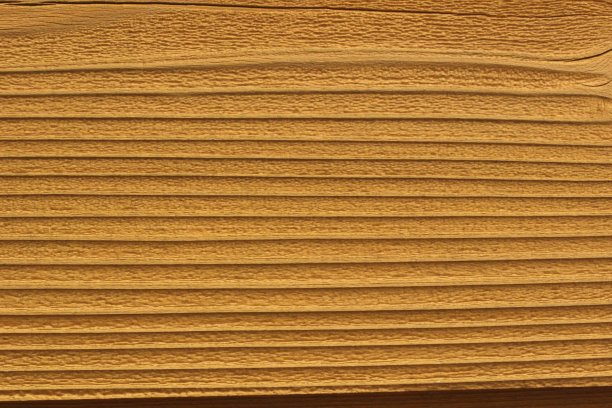 美丽的树林图片下载