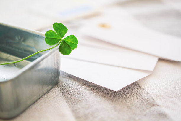 幸运的四叶草图片下载