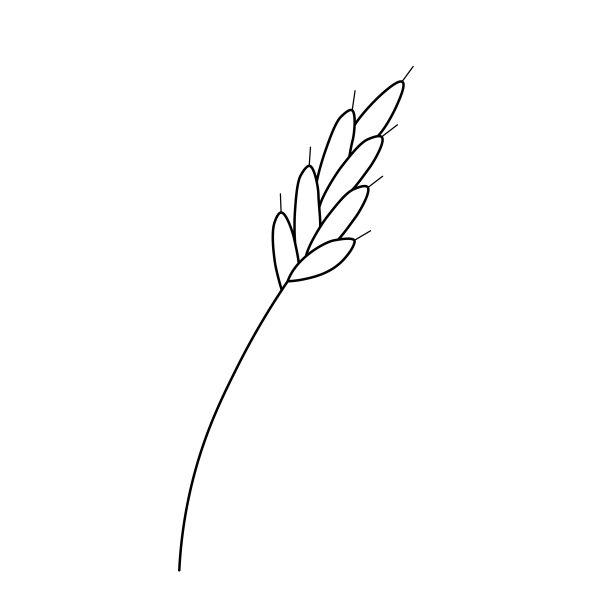 矢量插图波西米亚花。趋势标志设计，抽象符号。叶图片下载