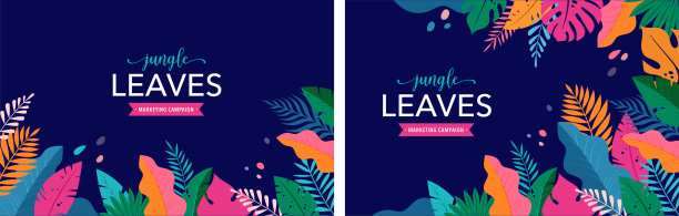 你好夏季概念设计，夏季全景，抽象插图丛林异国树叶，彩色设计，夏季背景和旗帜图片下载