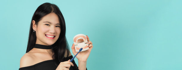 女人拿着牙刷和牙齿模型或牙齿矫正模型。口腔保健理念。亚洲青少年在接受教育时露出了牙齿。拿着塑料假牙和牙刷的女孩。图片下载