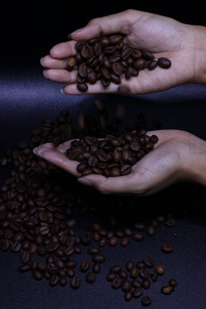 手里拿着咖啡豆图片下载