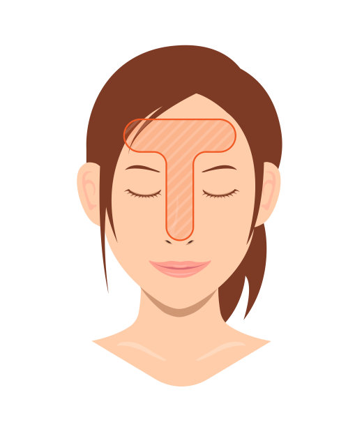 女性面部t区矢量图。图片下载