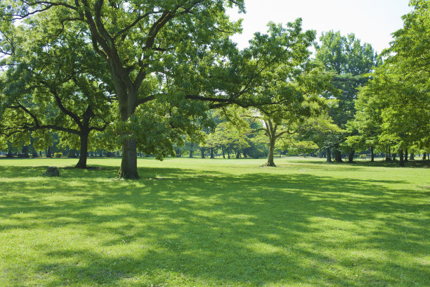 格林公园图片下载