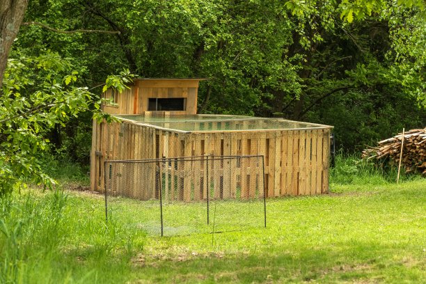 用木托盘建造的鸡舍。森林旁边的一个小鸡笼。母鸡繁殖。小农场。图片下载