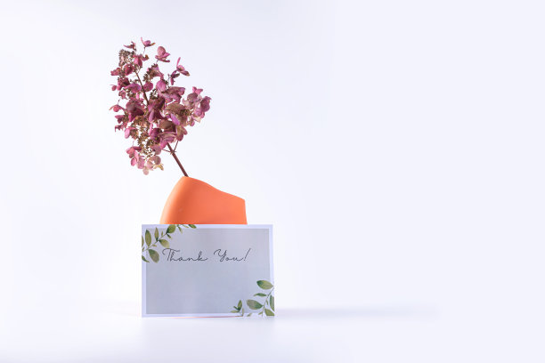 陶瓷花瓶与干花和海报的文字孤立在一个明亮的背景图片下载