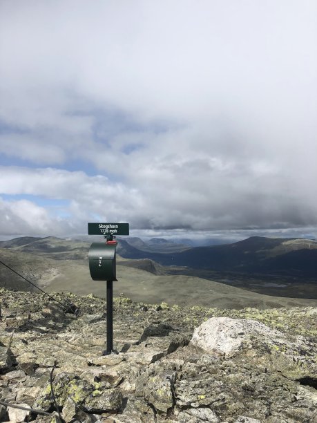 山之王图片下载