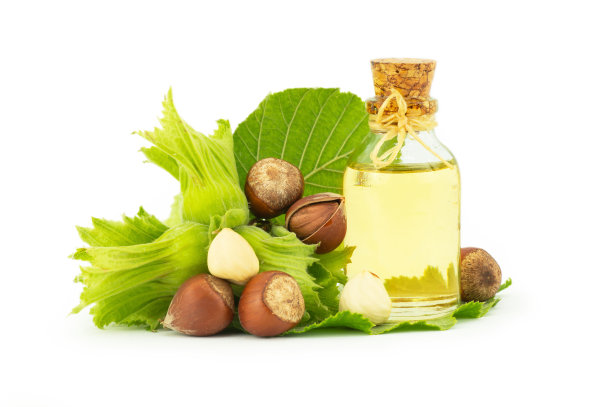 玻璃瓶的榛子油孤立的白色背景与绿色新鲜的榛子图片下载