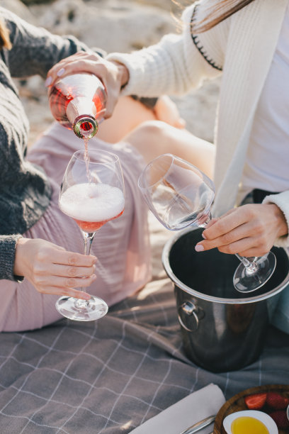 两位女性朋友正在享用新鲜的自制食物和香槟的早午餐野餐。图片下载