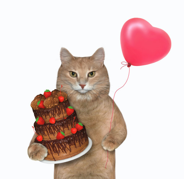 猫姜握松露蛋糕姜图片下载