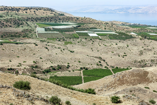 基布兹卡纳夫和拉莫特之间的山谷，靠近加利利湖图片下载