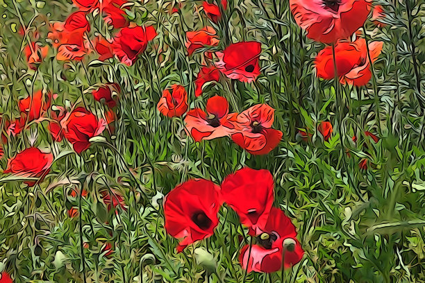 花卉插图图片图片下载