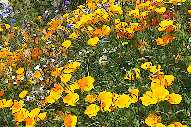 花卉插图图片图片下载