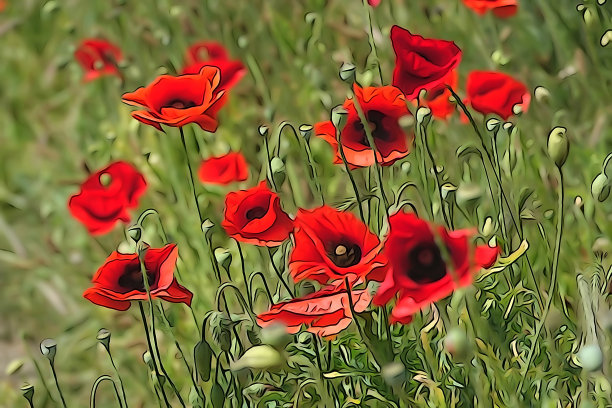 花卉插图图片图片下载
