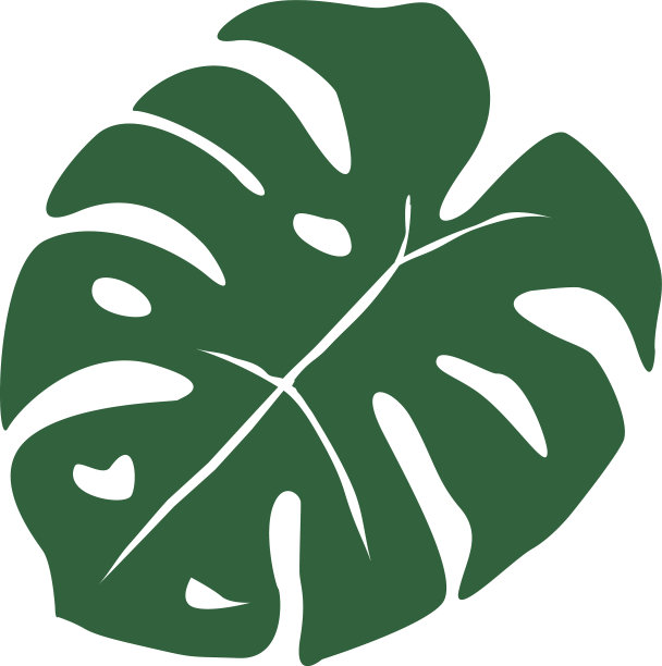 怪物的叶子在白色的背景怪物图片下载