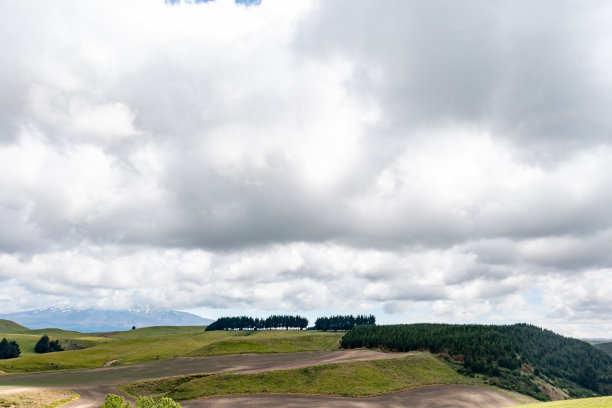 一群羊在绿色农场吃草，49号州公路，新西兰图片下载