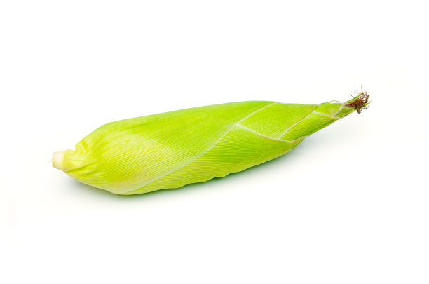 白色背景上孤立的单穗玉米图片下载