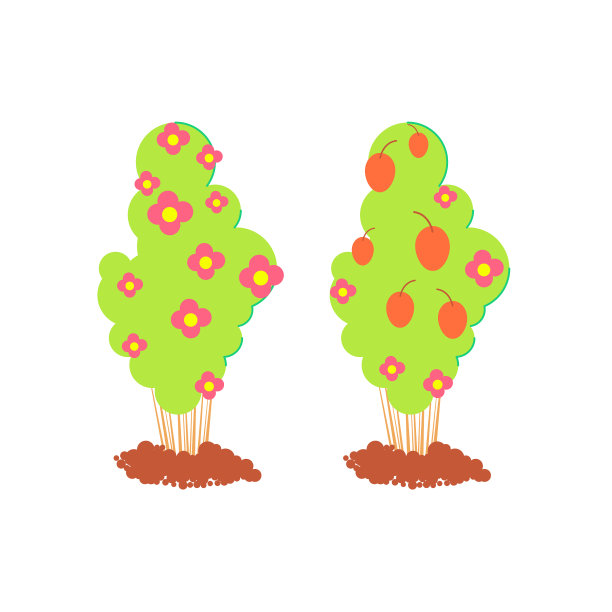 从开花到结果图片下载