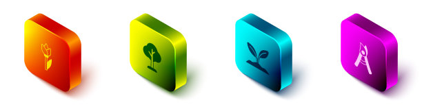 设置等距花郁金香，森林，萌芽和园艺手工剪刀图标。向量图片下载