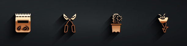 套装装满植物的种子，园艺手工剪刀，仙人掌佩奥特花盆和花图标与长影子。向量图片下载