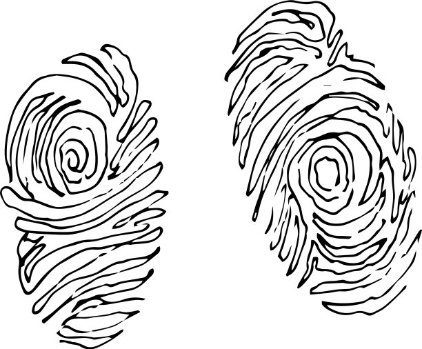 指纹在草图图片下载