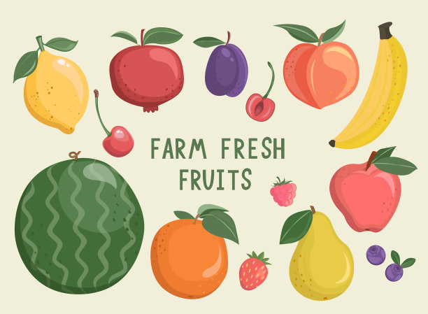 大套独立手绘水果和浆果图片下载