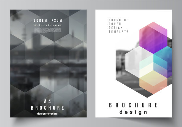 布局a4格式封面模型设计图片下载