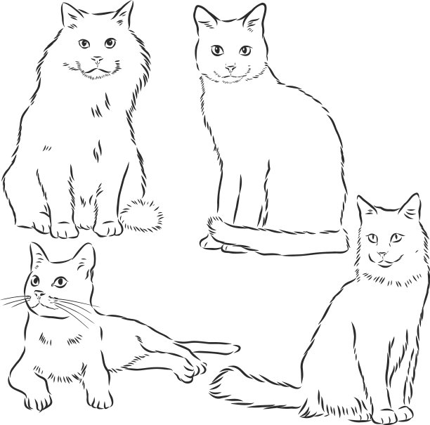 猫集手绘可爱毛茸茸的猫家图片下载